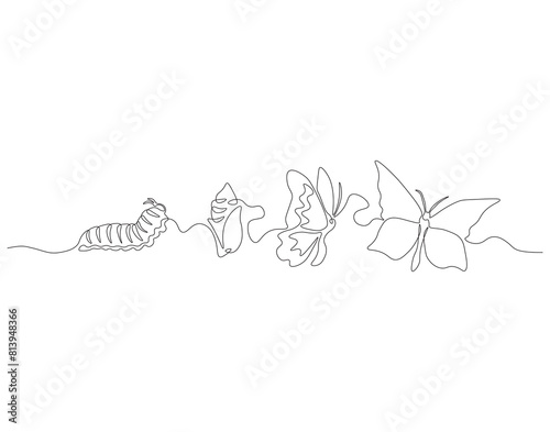 Continuous one line drawing of butterfly life cycle. One line drawing illustration of butterfly metamorphosis. Butterfly transformation concept continuous line art. Editable outline.