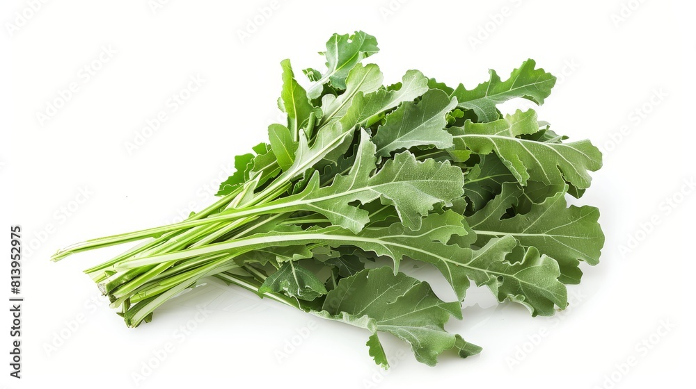 Fresh organic rapini on white background Fresh organic rapini on white background