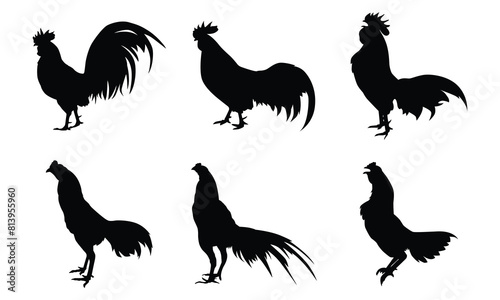 Set of rooster silhouettes isolated white background