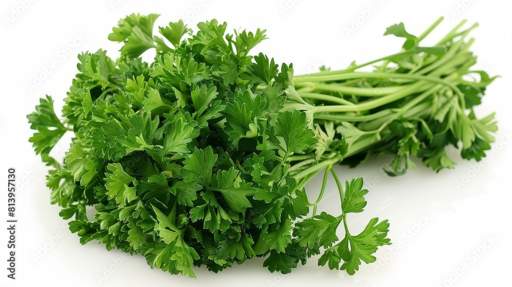 Fresh and healthy parsley, a great addition to any dish! Fresh and healthy parsley, a great addition to any dish!