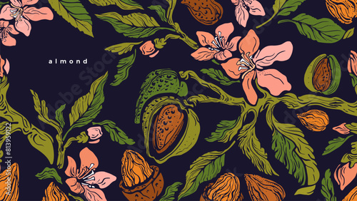 Almond tree. Vector template. Green branch, nuts