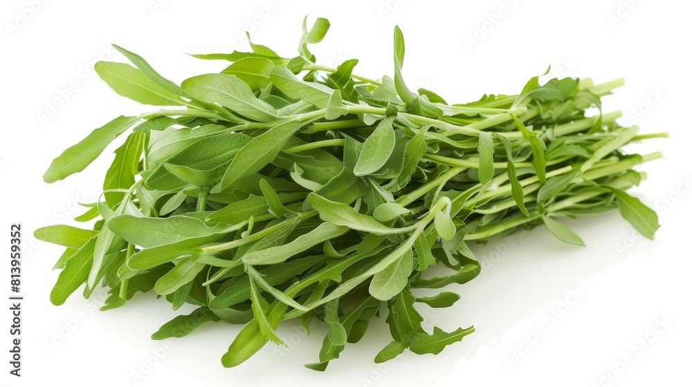 Arugula is a leafy green vegetable that is often used in salads. It has a slightly peppery flavor and is a good source of vitamins and minerals. Arugula is a leafy green vegetable that is often used in salads. It has a slightly peppery flavor and is a good source of vitamins and minerals.