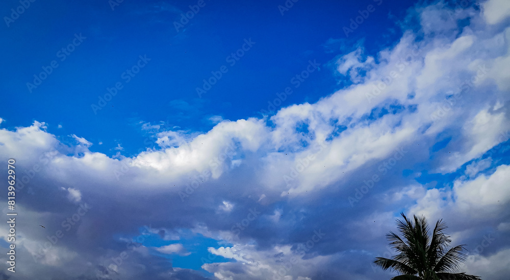 Sky Blue,Cloud Background,Horizon Clear Spring Sky in Morning ,Vector beautiful landscape nature sunrise in Summer. Sky Blue,Cloud Background,Horizon Clear Spring Sky in Morning ,Vector beautiful landscape nature sunrise in Summer.
