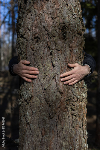 A man hugs a thick tree trunk in the forest as if protecting it. An activist man hugs a tree to protect the forest from deforestation. The concept of saving the forest from deforestation.