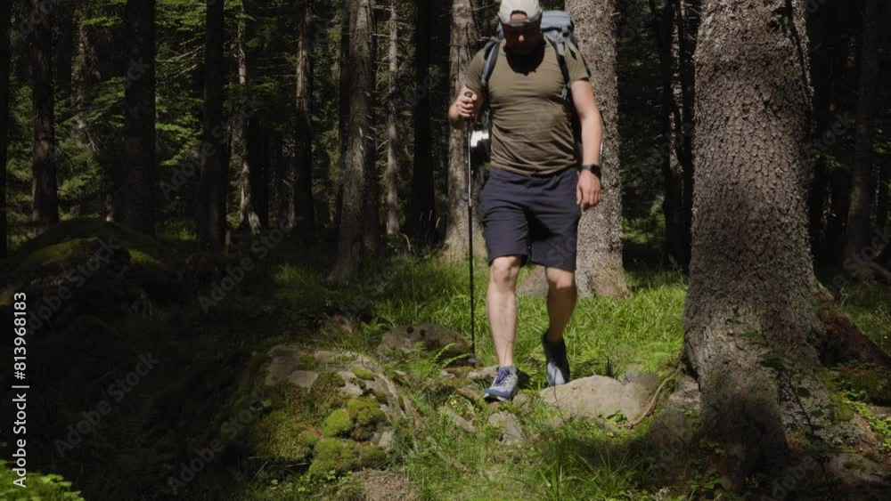 Adult man with backpack and hiking stick resting on stone in green forest in daylight Adult man with backpack and hiking stick resting on stone in green forest in daylight