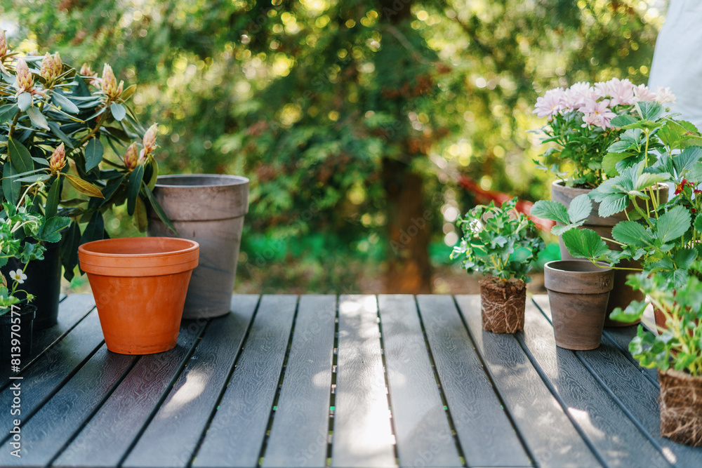 Flowers in pots against blurred green garden on summer background
