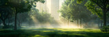 Morning Mist Over City Park   A serene sanctuary in the heart of the city, shrouded in ethereal fog, offering a tranquil urban escape.