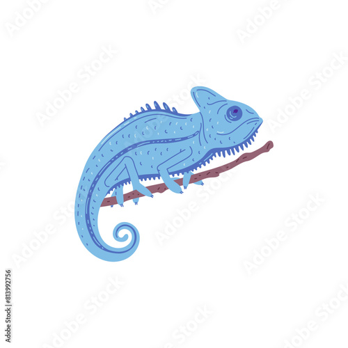 Vector illustration on a white background with a blue chameleon sitting on a tree branch