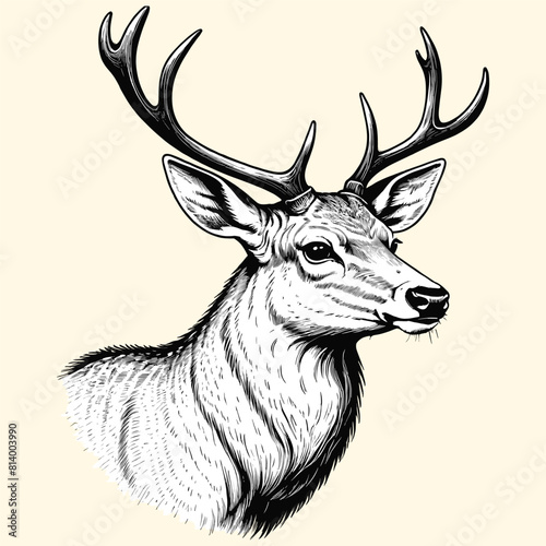A Reindeer HeadShot Illustration In Engraved Vintage Style