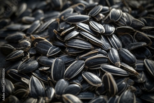 Detailed close-up shot of roasted sunflower seeds creating a textured background