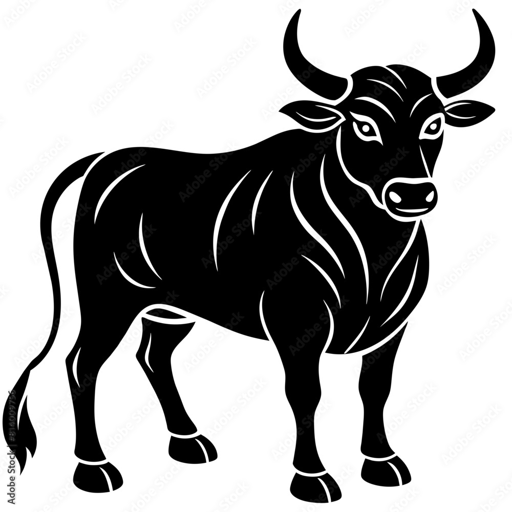 Fototapeta premium black and white bull
