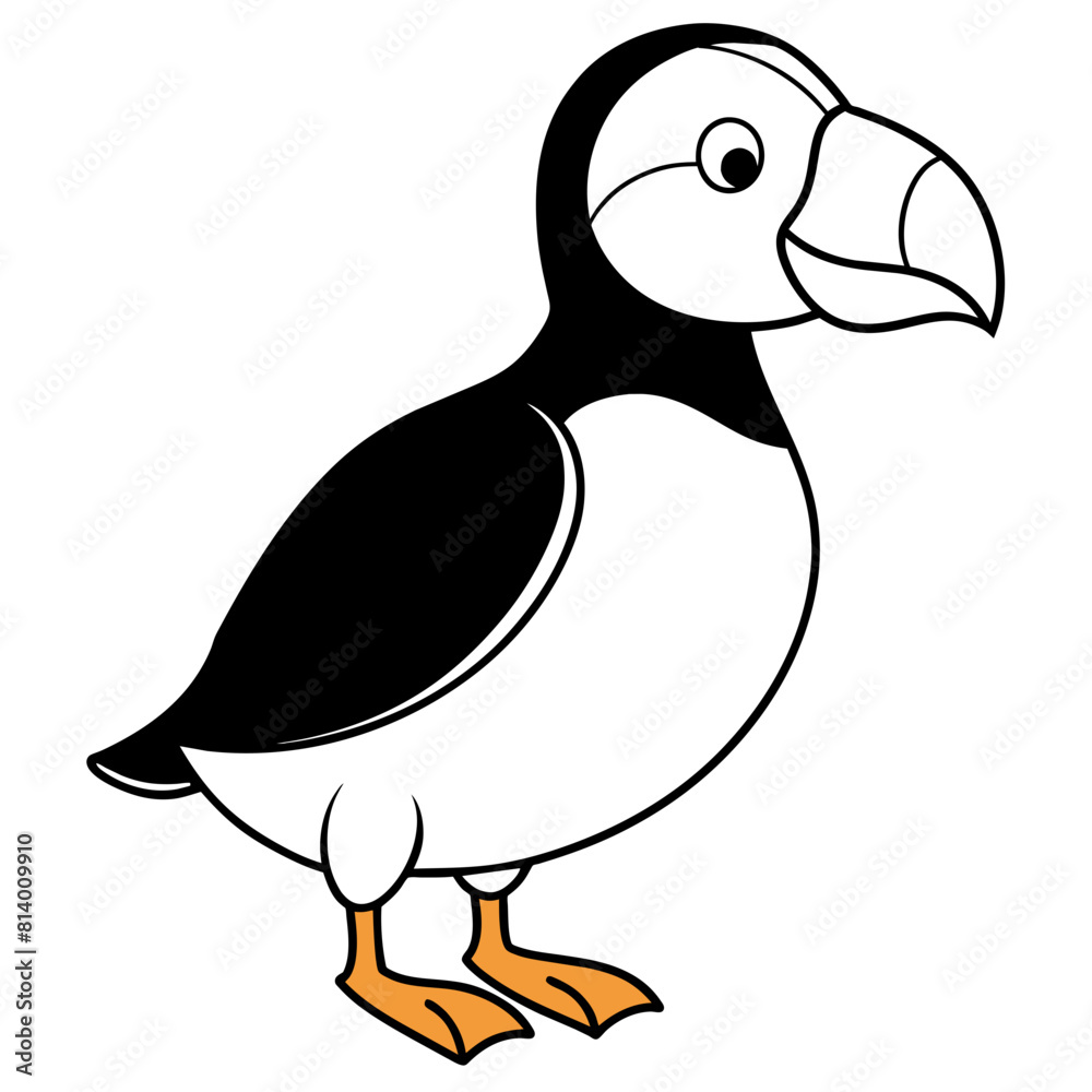 duck isolated on white duck isolated on white