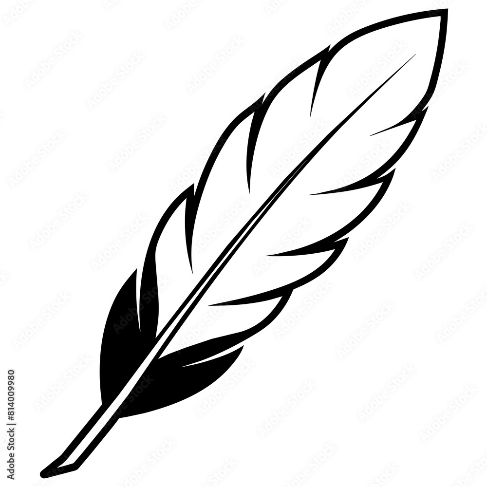 Obraz premium feather on white