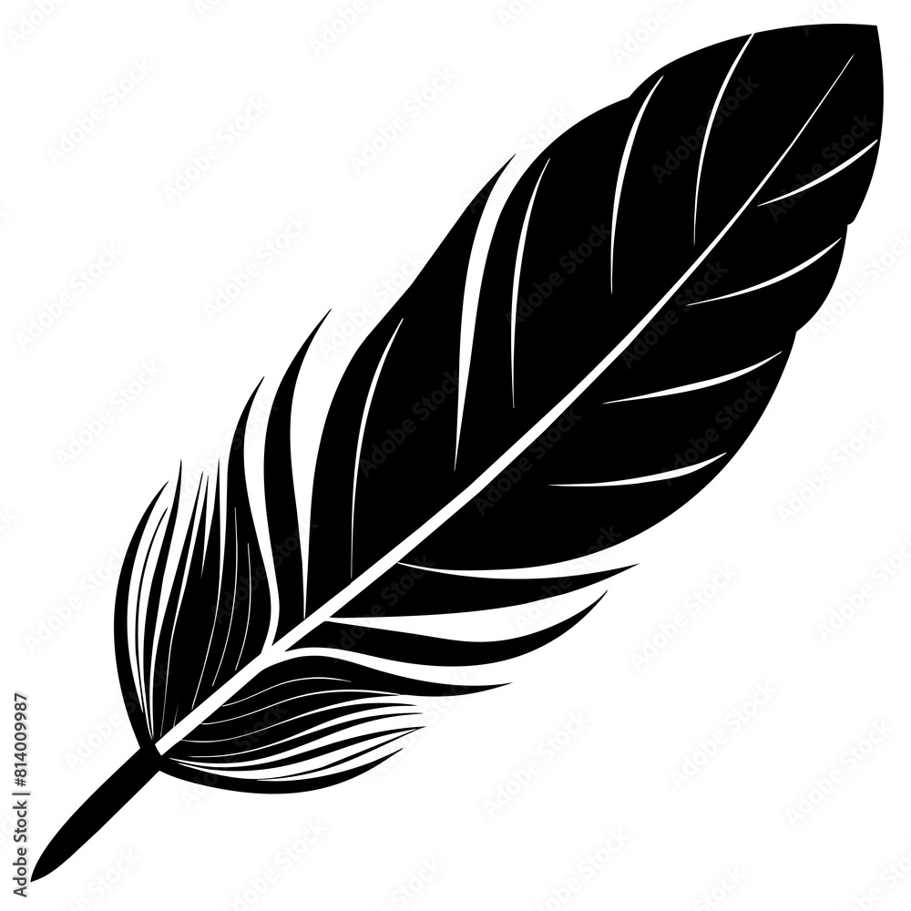 Fototapeta premium feather