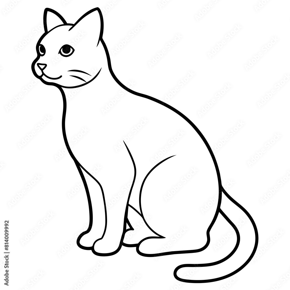 Obraz premium black cat illustration