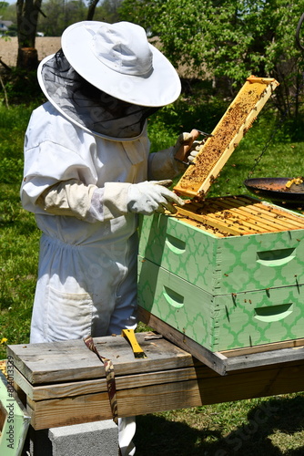 Beekeeper