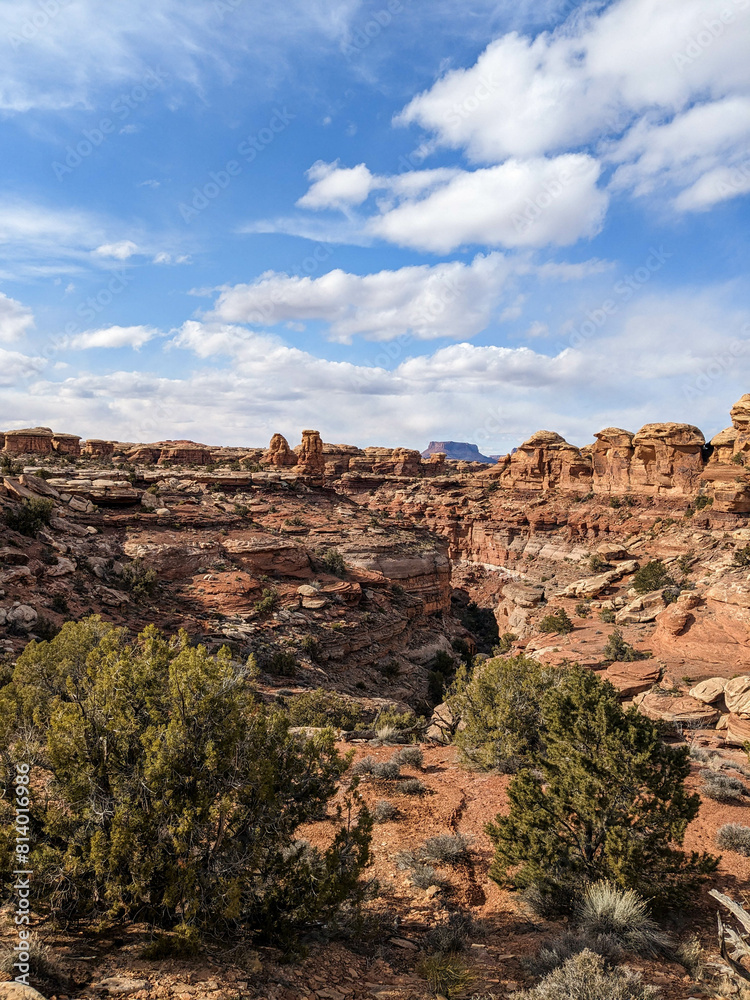Spring Canyonlands Needles District Moab Utah