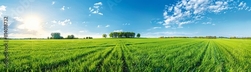 The image shows a beautiful green field with a blue sky and white clouds.