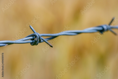Barb Wire Detail on gold background