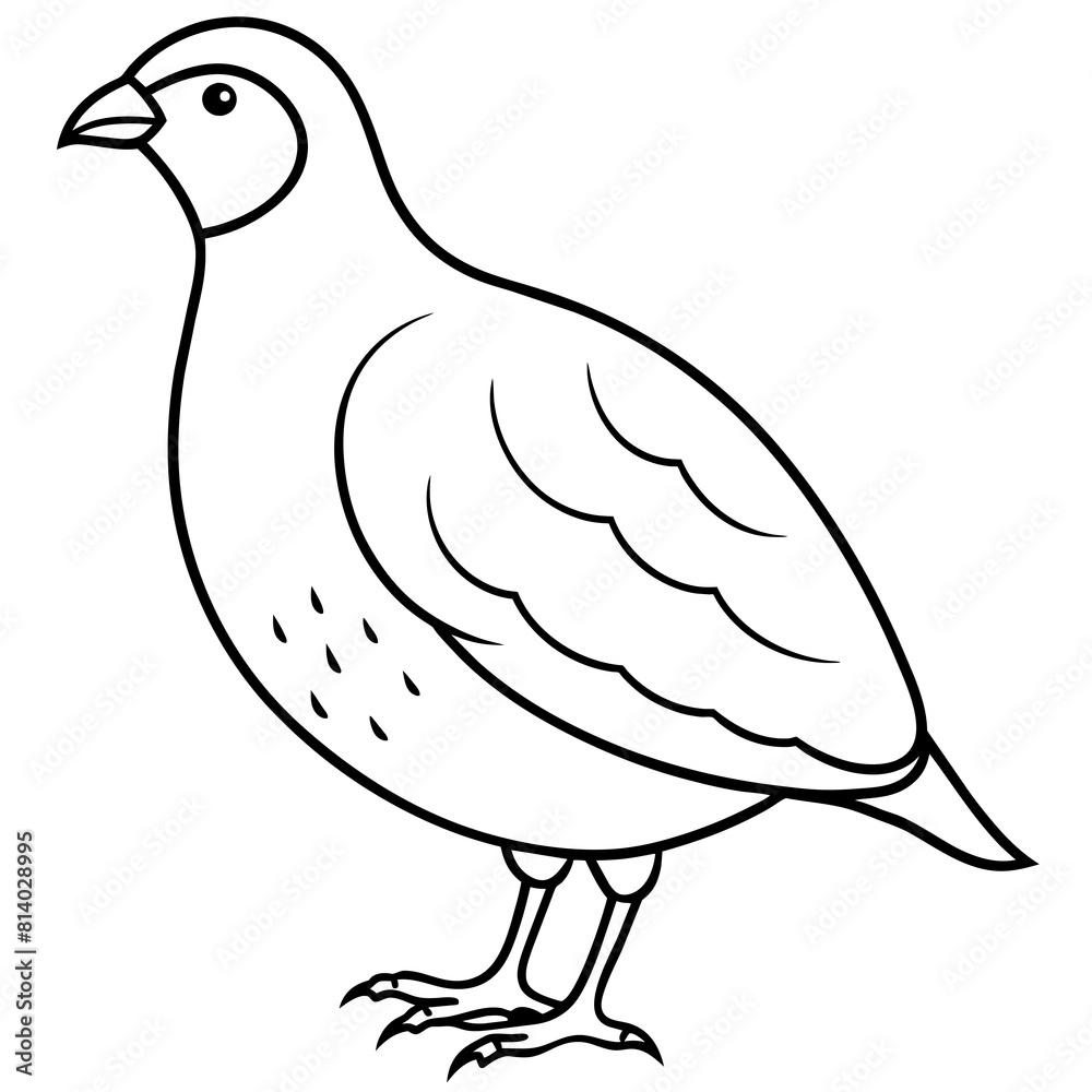 Quail-side-view-on-white--vector-illustration Quail-side-view-on-white--vector-illustration