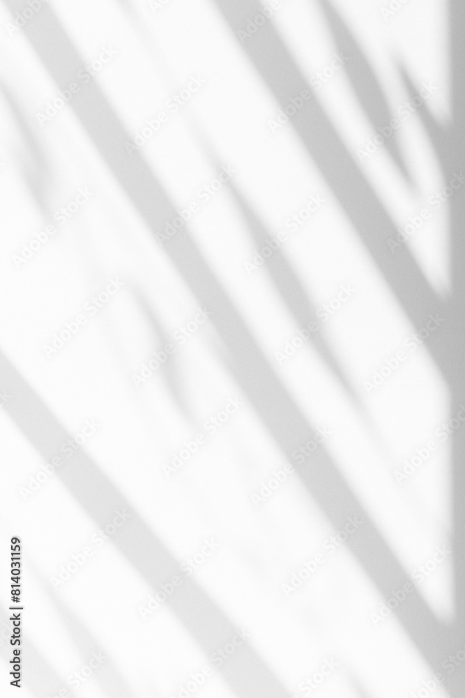 Delicate shadow on the white wall. Minimalist shadow background. Delicate shadow on the white wall. Minimalist shadow background.
