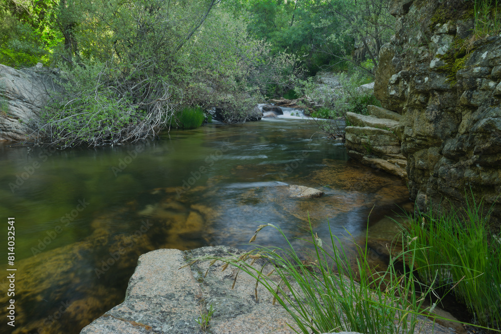 landscape, view, nature, plants, water, stream, mountain, flora, landscape, view, nature, plants, water, stream, mountain, flora,