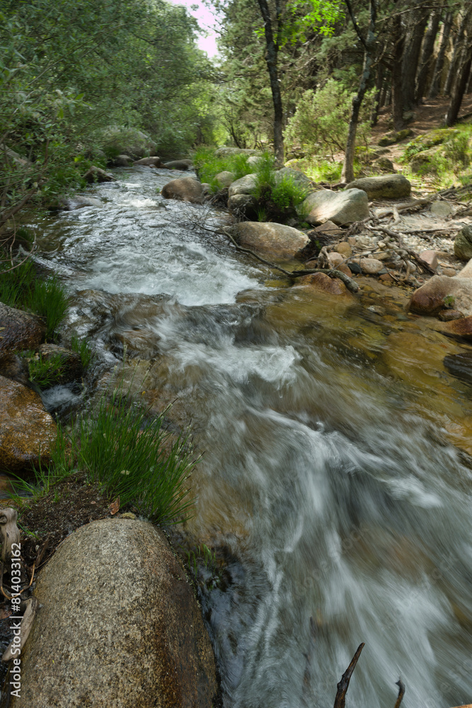 landscape, view, nature, plants, water, stream, mountain, flora, landscape, view, nature, plants, water, stream, mountain, flora,