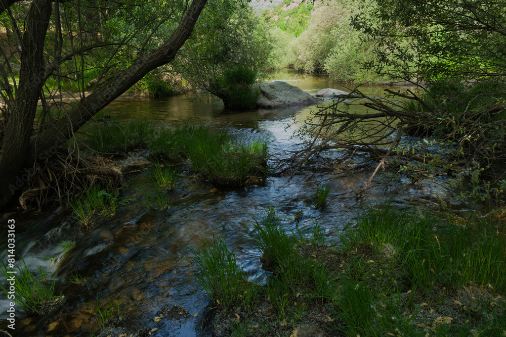 landscape, view, nature, plants, water, stream, mountain, flora, landscape, view, nature, plants, water, stream, mountain, flora,