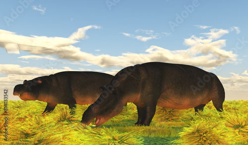 Moeritherium eating Grass - Moeritherium is an extinct mammal related to the elephant and the sea cow. This herbivore lived in Egypt during the Eocene Period.