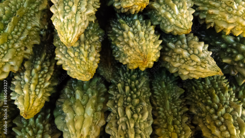 Vibrant Green Bitter Gourds, close up view, organic Asian vegetables