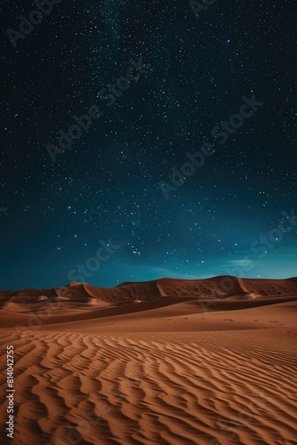 Desert landscape with starry sky in background