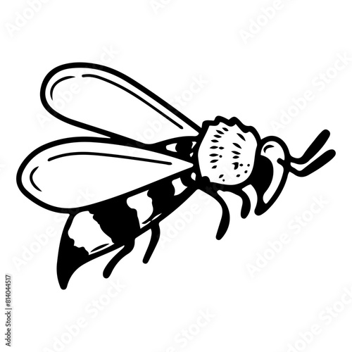 Wasp doodle. Flying stinging insect. Honey apiary. Bee pollinator. Hand drawn vector sketch illustration.