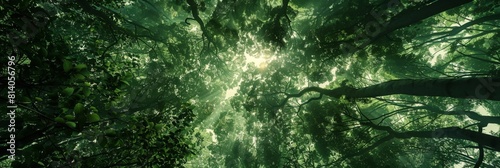 The canopy of lush green trees in the forest seen from below, creating an expansive view that emphasizes its beauty and scale Generative AI photo