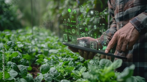 Futuristic Smart Farming, man Managing Hydroponic Garden with Digital Interface. Generative ai