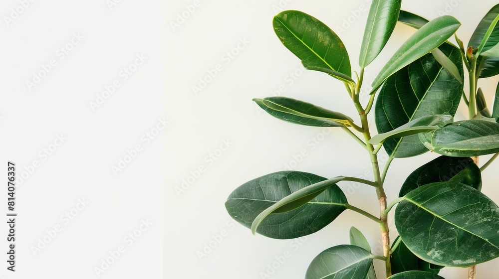 green leafes, copy and text space, neutral background green leafes, copy and text space, neutral background