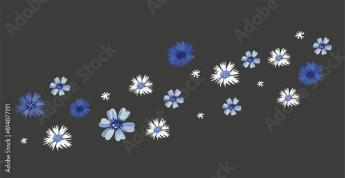 Vector spring pattern with cornflowers on a gray background. Bluet vector. Floral theme, summer patterns for various products, floral print for ceramic dishes or other products