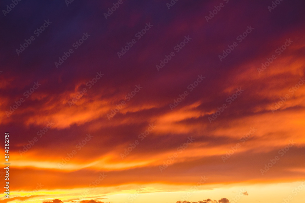 Fototapeta premium red clouds on the sky at dusk. dramatic nature background. weather change before the rain