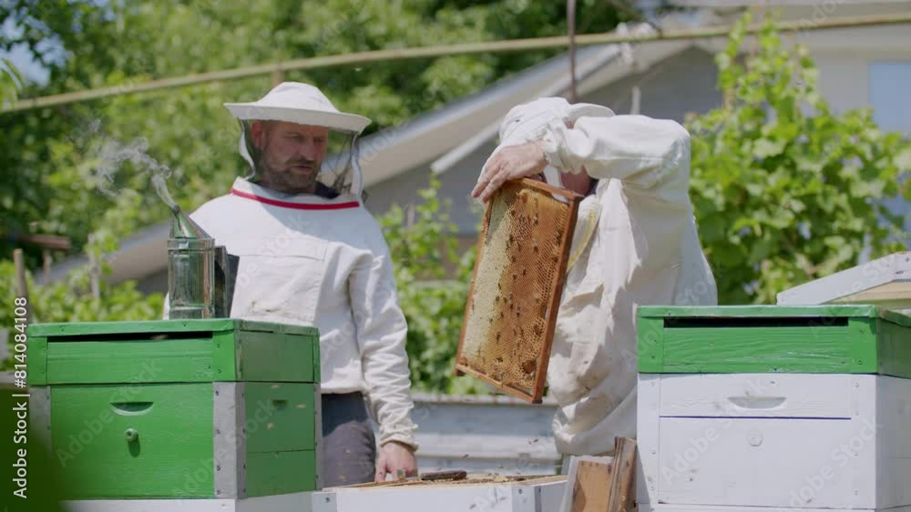 Apiary beekeepers uniforms extract honey beehives. With skillful hands beekeepers navigate intricate network of combs demonstrating artistry and dedication required in beekeeping apiary. Apiary beekeepers uniforms extract honey beehives. With skillful hands beekeepers navigate intricate network of combs demonstrating artistry and dedication required in beekeeping apiary.