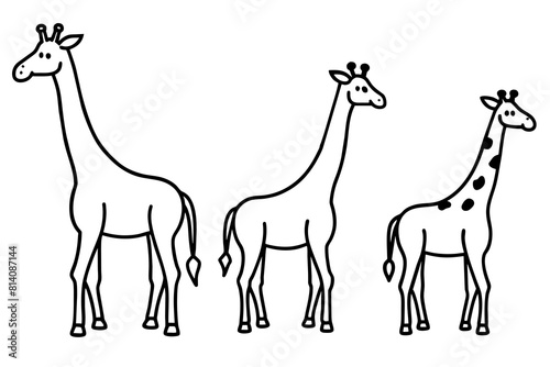  giraffe line art silhouette illustration