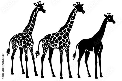  giraffe line art silhouette illustration