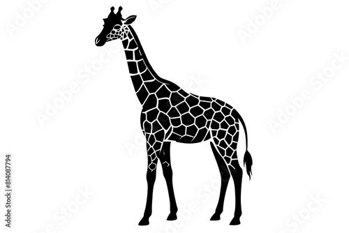 giraffe line art silhouette illustration