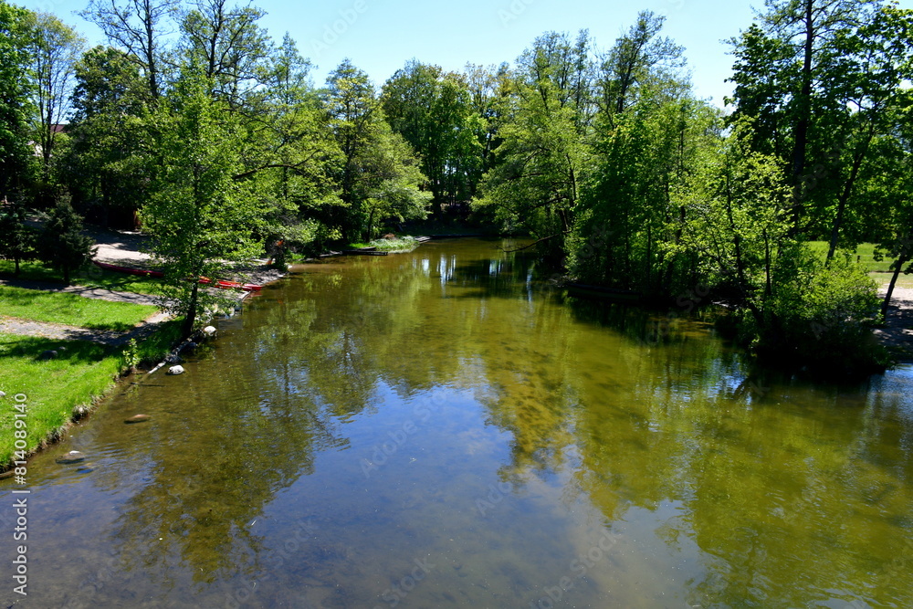 A view of a shallow river or lake with its bottom clearly visible surrounded with trees, shrubs, and other kinds of flora spotted on a sunny summer day during a hike on a Polish countryside A view of a shallow river or lake with its bottom clearly visible surrounded with trees, shrubs, and other kinds of flora spotted on a sunny summer day during a hike on a Polish countryside
