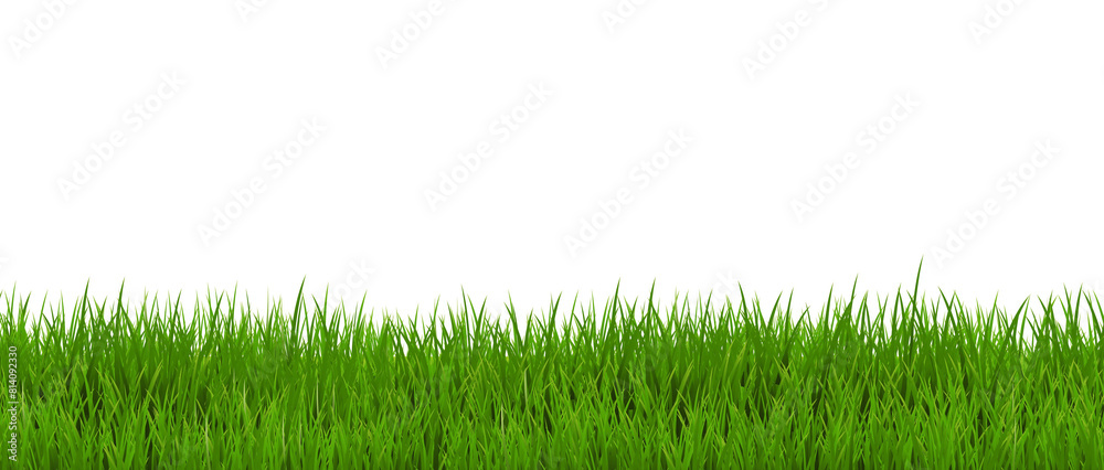 Green Grass Border And Isolated White Background Green Grass Border And Isolated White Background
