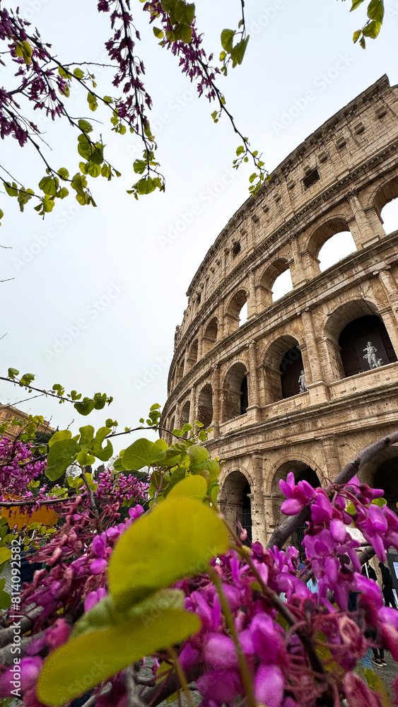 Obraz premium Rome Colosseum