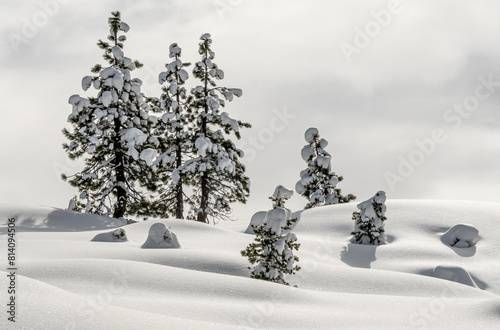 Canvastavla Blanketed with Snow