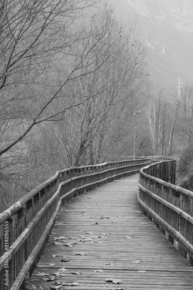 Obraz premium bridge in winter