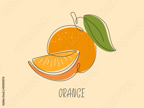 Juicy ripe orange line drawn background. Abstract sliced Tropical citrus fruit card. Element for design isolated. Ingredient for juice, lemonade, cocktail, tea