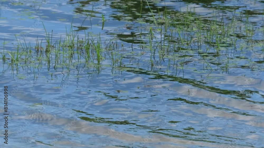River water surface with smooth movement reflecting blue sky River water surface with smooth movement reflecting blue sky