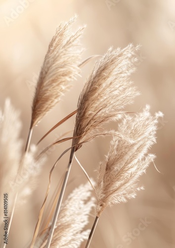 Rustic Decor Inspiration with Dried Pampas Grass Generative AI