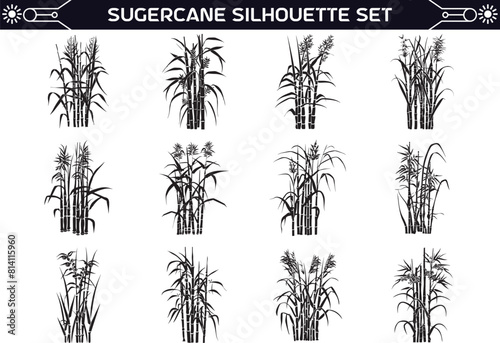 Sugarcane Silhouette Vector Illustration Set